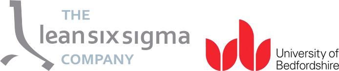 The Lean Six Sigma Company
