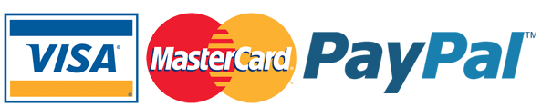 visa-mastercard-paypal - The Lean Six Sigma Company